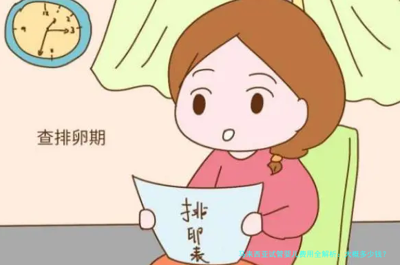 马来西亚试管婴儿费用全解析：大概多少钱？附选择指南