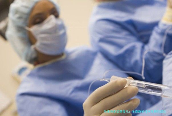 马来西亚试管婴儿：全面解析技术优势与成功经验