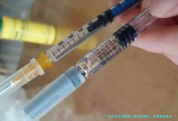 马来西亚试管婴儿费用全解析：你需要准备多少钱？