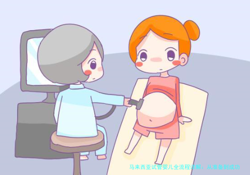 马来西亚试管婴儿全流程详解：从准备到成功，一步步指南