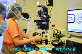 马来西亚试管婴儿费用全解析：知乎用户必看的省钱攻略