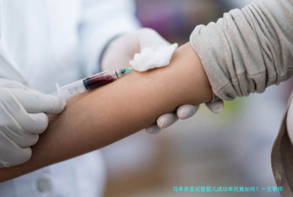马来西亚试管婴儿成功率究竟如何？一文带你全面了解！