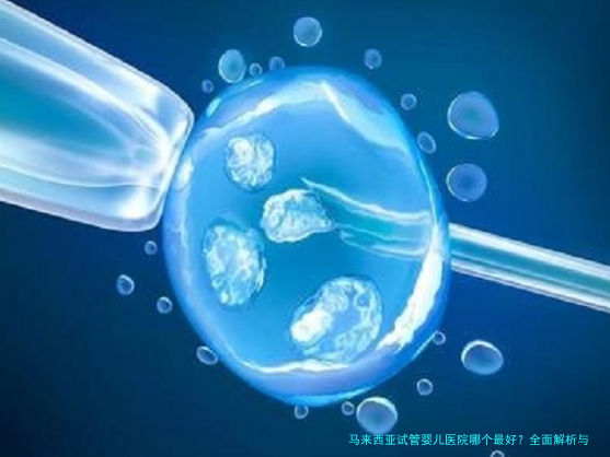 马来西亚试管婴儿医院哪个最好？全面解析与推荐