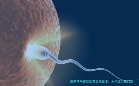 探索马来西亚试管婴儿技术：为何成为热门选择？