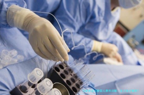 马来西亚试管婴儿费用详解：多少钱才够用？
