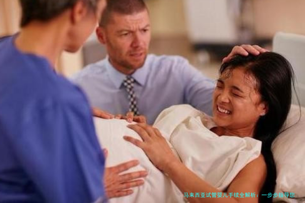 马来西亚试管婴儿手续全解析：一步步指导您完成流程