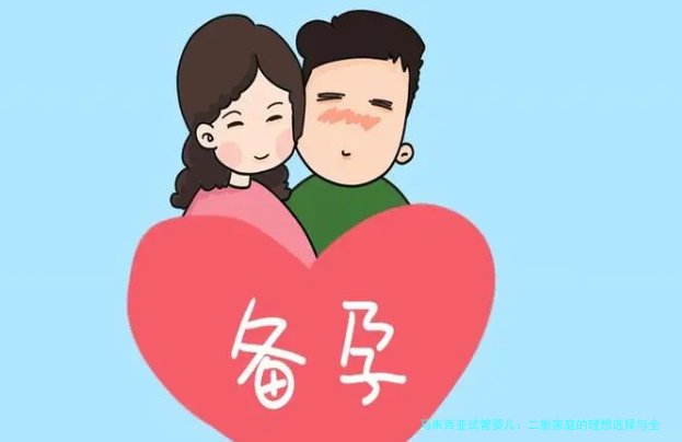 马来西亚试管婴儿：二胎家庭的理想选择与全攻略