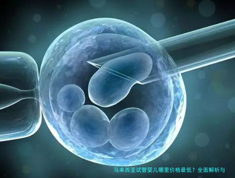 马来西亚试管婴儿哪里价格最低？全面解析与实用推荐