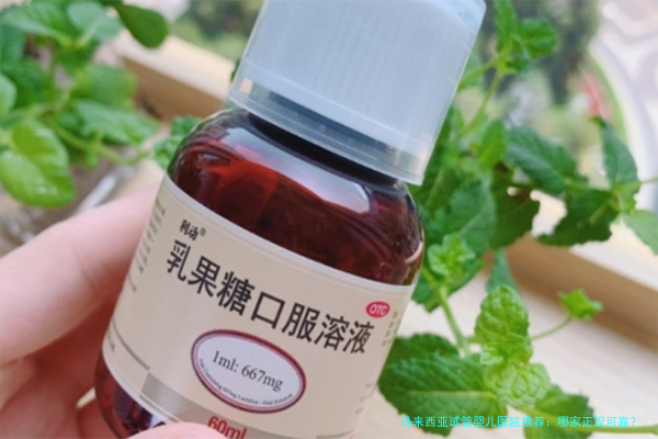 马来西亚试管婴儿医院推荐：哪家正规可靠？