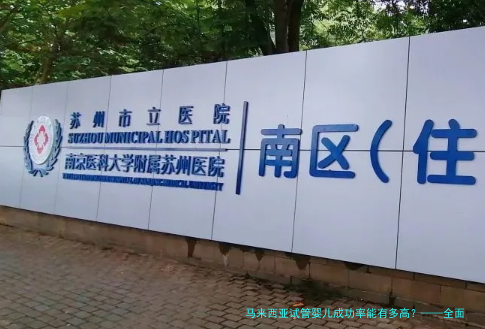马来西亚试管婴儿成功率能有多高？&mdash;&mdash;全面解析与经验分享