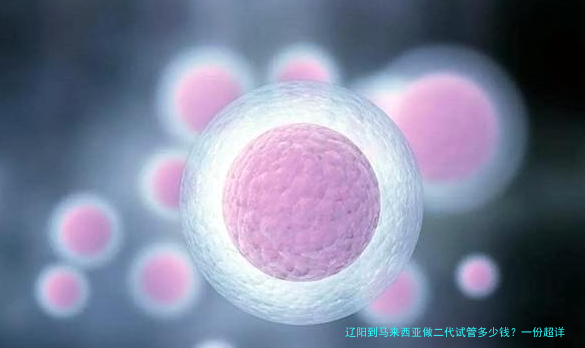 辽阳到马来西亚做二代试管多少钱？一份超详细费用清单与避坑指南