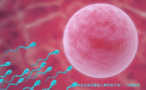 马来西亚做试管婴儿费用高不高？一文解析所有花费与性价比