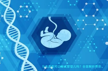 马来西亚可以做试管婴儿吗？全面解析费用、成功率与流程