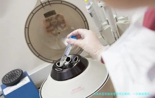 马来西亚双胎试管费用全解析：一次到底要花多少钱？