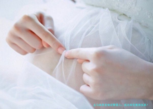 去马来西亚做试管婴儿：成功率究竟有多高？揭秘与实用指南