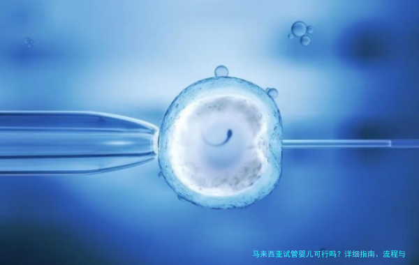 马来西亚试管婴儿可行吗？详细指南、流程与经验分享