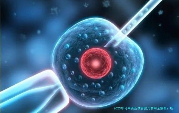 2023年马来西亚试管婴儿费用全解析：明细、案例与省钱攻略