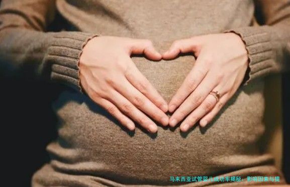 马来西亚试管婴儿成功率揭秘：影响因素与提升策略