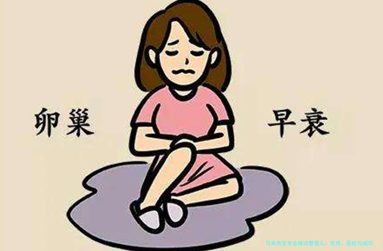 马来西亚专业做试管婴儿：优势、医院与成功故事全解析