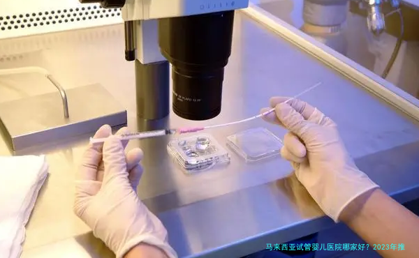 马来西亚试管婴儿医院哪家好？2023年推荐榜单与选择攻略