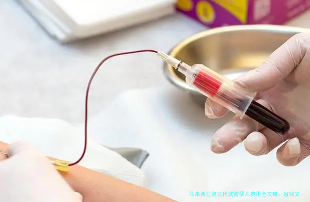 马来西亚第三代试管婴儿费用全攻略：省钱又高效的生育选择