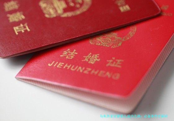 马来西亚试管婴儿成功之路：必备条件全解析