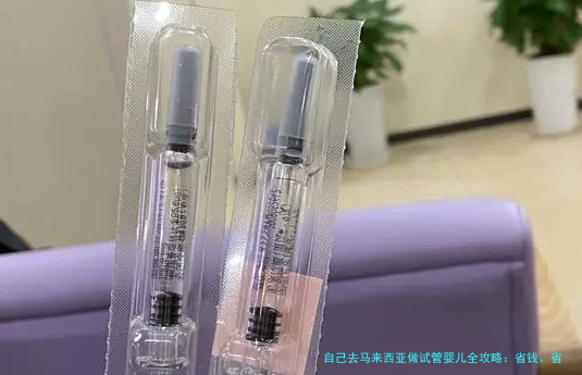 自己去马来西亚做试管婴儿全攻略：省钱、省心、一站式指南