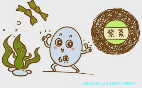 美国试管婴儿只选这些原因你知道吗？