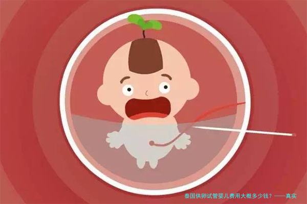 泰国供卵试管婴儿费用大概多少钱？&mdash;&mdash;真实价格全解析