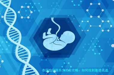 泰国助孕联系方式全攻略:如何找到靠谱渠道?