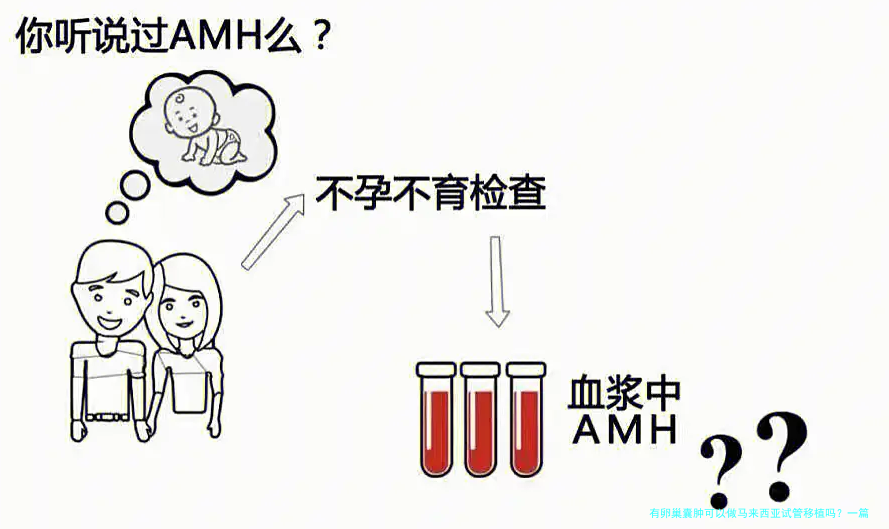 有卵巢囊肿可以做马来西亚试管移植吗？一篇大实话帮你理清