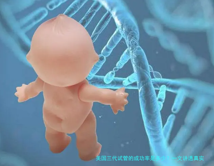 美国三代试管的成功率是多少？一文讲透真实数据与影响因素