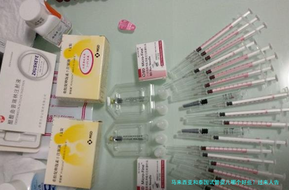 马来西亚和泰国试管婴儿哪个好些？过来人告诉你真实对比