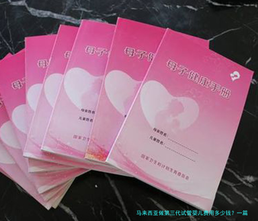 马来西亚做第三代试管婴儿费用多少钱？一篇文章帮你算清楚