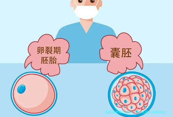 美国试管婴儿助孕：凭什么吸引全球家庭？