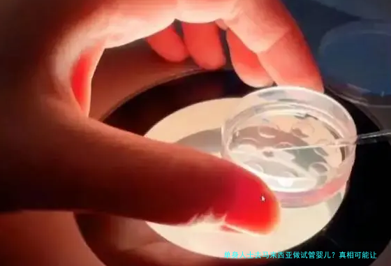 单身人士去马来西亚做试管婴儿？真相可能让你意外