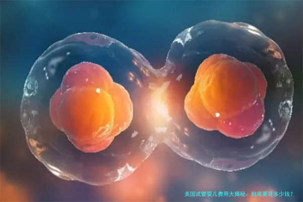美国试管婴儿费用大揭秘：到底要花多少钱？