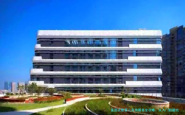 美国试管婴儿咨询服务全攻略：从入门到避坑，一篇讲透