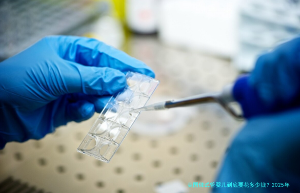 美国做试管婴儿到底要花多少钱？2025年最新费用明细与省钱攻略
