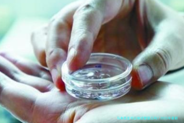 马来西亚可以做试管婴儿吗？2025年最新费用及全流程解析