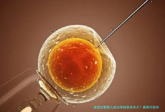 美国试管婴儿成功率到底有多大？真相可能和你想的不一样