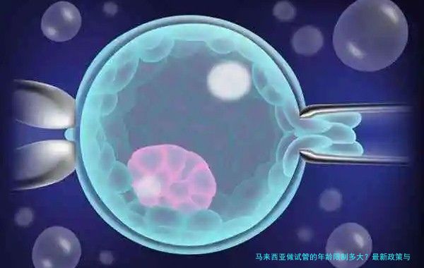 马来西亚做试管的年龄限制多大？最新政策与真实案例解析