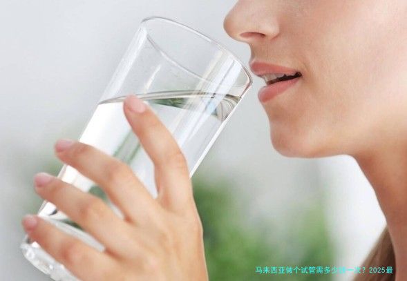 马来西亚做个试管需多少钱一次？2025最新费用明细与省钱攻略
