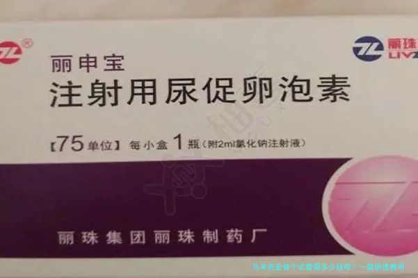 马来西亚做个试管需多少钱呢？一篇讲透费用和那些隐藏的坑