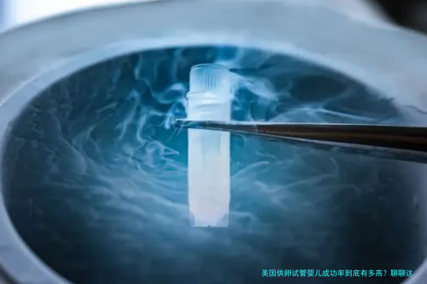 美国供卵试管婴儿成功率到底有多高？聊聊这个圈子里最热的话题