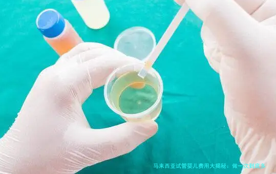 马来西亚试管婴儿费用大揭秘：做一次到底多少钱？（附详细费用明细）