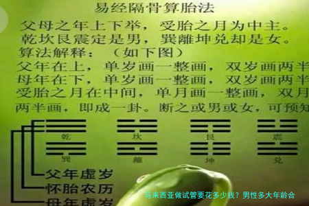 马来西亚做试管要花多少钱？男性多大年龄合适？一文说清
