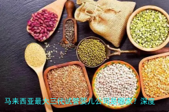 马来西亚最大三代试管婴儿公司是哪家？深度解析行业龙头