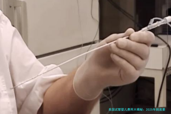 美国试管婴儿费用大揭秘：2025年到底要花多少钱？