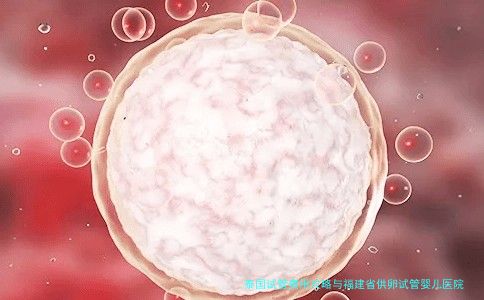 泰国试管费用攻略与福建省供卵试管婴儿医院排名全解析：哪条路更适合你？